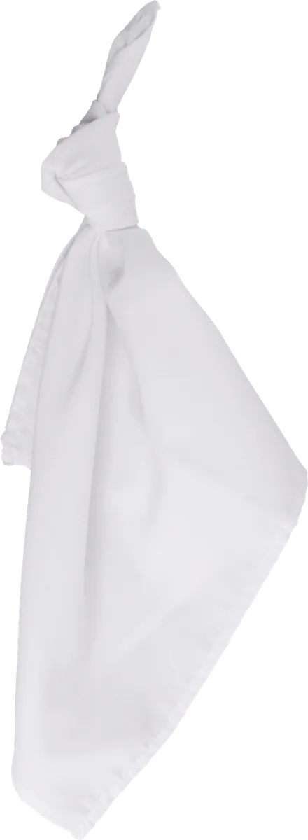 Servilleta Blanca